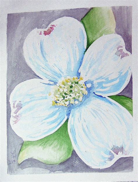 Dogwood Bloom Painting by Loretta Nash - Pixels