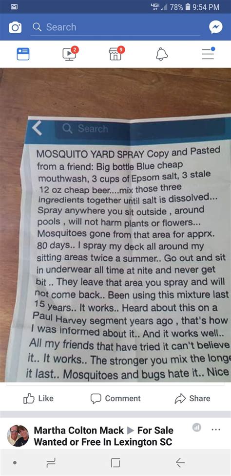 Mosquito Yard Spray: A DIY Solution for a Bug-Free Summer