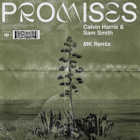 Calvin Harris - Promises (Mk Extended Remix) on Traxsource