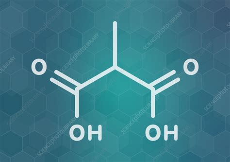 Methylmalonic acid molecule, illustration - Stock Image - F029/9669 - Science Photo Library