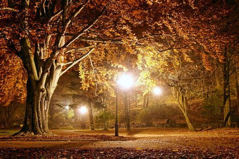 Autumn Light Wallpapers - Wallpaper Cave