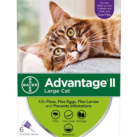 Advantage II Once-A-Month Cat & Kitten Topical Flea Treatment Over 9 lbs. | Petco