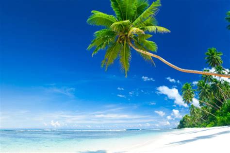 BEACHES | Book Vanuatu Travel | Hotels & Tours | Flights