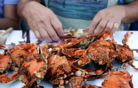 Summer Fun: The Maryland Seafood Festival is Happening This Weekend ...