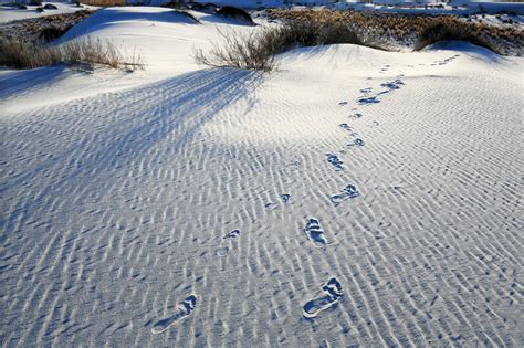 Ancient Human Footprints Were Recently Discovered At White Sands National Park In New Mexico