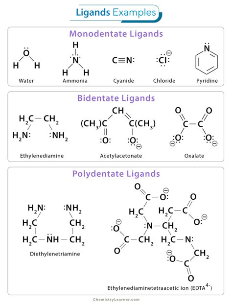 Ligands: Definition, Types, and Examples