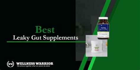 10 Best Leaky Gut Supplements 2023: Probiotics & Treatment