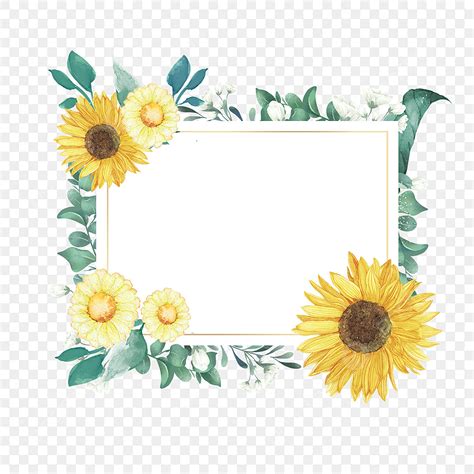 Square Floral Border White Transparent, Floral Square Sunflower Border ...