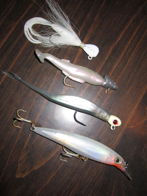 Rhode Island Striped Bass: Top Lures for Winter Holdovers