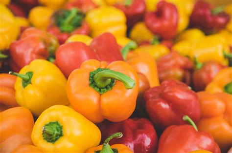 5 Facts about Bell Peppers | Daily Harvest Express