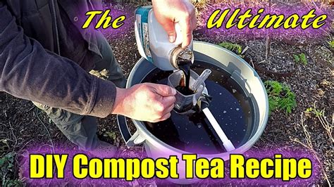 compost tea recipe for tomatoes - Rachell Naranjo