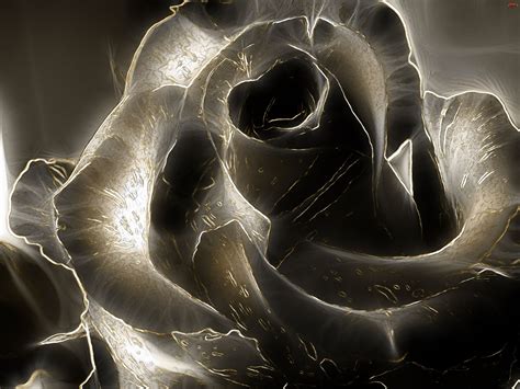 3D Black Rose Image 2206 2560x1920px - HD Wallpaper | Black roses wallpaper, Rose wallpaper ...