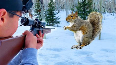 Squirrel Shoot’N’Fry | Squirrel Hunting with Pellet Guns - YouTube