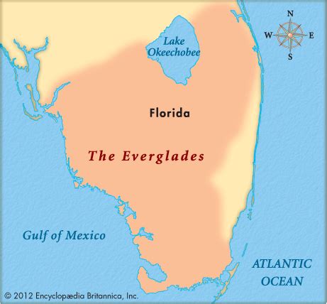 Everglades, The - Kids | Britannica Kids | Homework Help