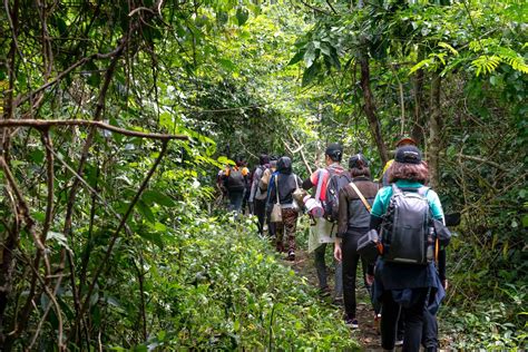 Trekking rừng rậm – giải tỏa nỗi lo bị vắt cắn – Tổ Ong Adventure