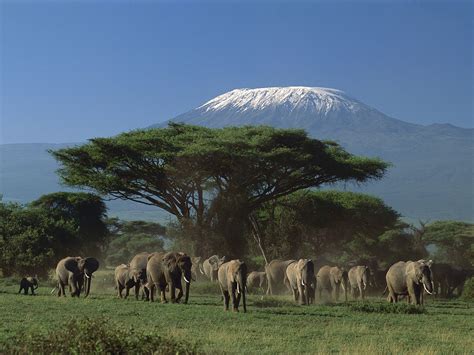 Travel specialist in Tanzania on climbing kilimanjaro and Safaris | Parques nacionais, Viagem na ...