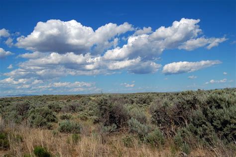near-dubois-idaho-2010-roger-peterson | Along the Nez Perce … | Flickr