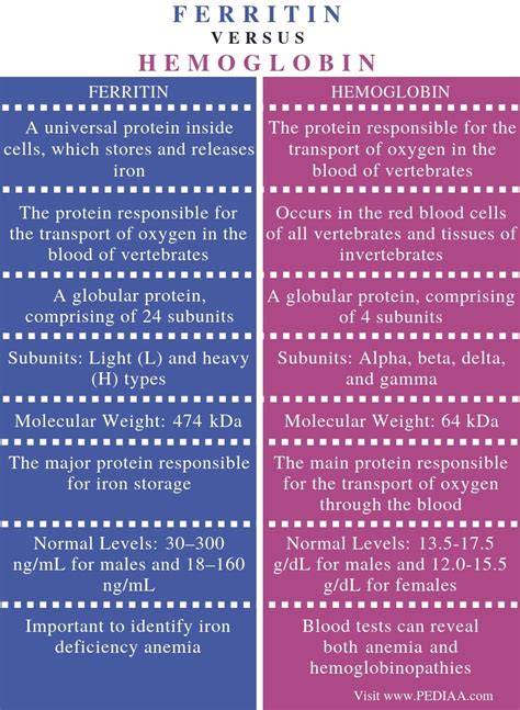 Difference Between Ferritin and Hemoglobin - Pediaa.Com