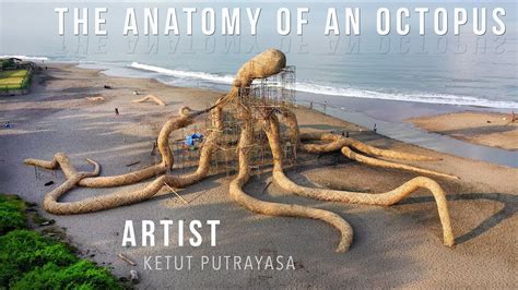 THE ANATOMY OF AN OCTOPUS - YouTube