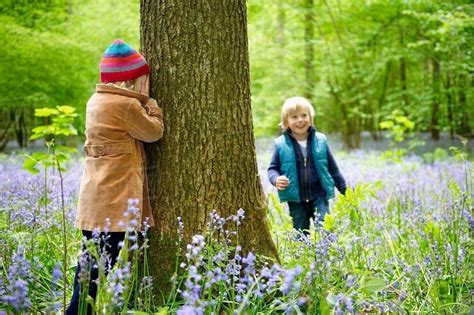 Kids playing in the forest - Stock Photo - Dissolve