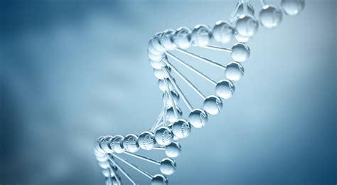 Dna Double Helix