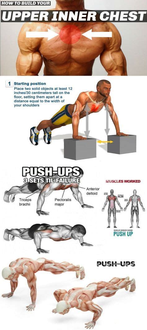 Perhaps one of the easiest exercise movements, the standard push up ...