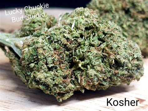 Kosher Kush Strain | Weed Information | Lucky Chuckie