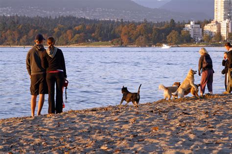 Vancouver, BC Pet-Friendly Travel | Pet travel, Pet friendly, Vancouver