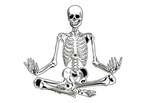 funny skeletons - Clip Art Library