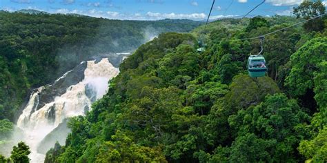 Skyrail Rainforest Cableway | Everything Australia