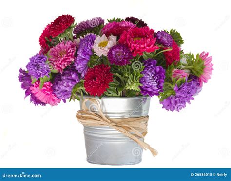 Bouquet Of Aster Flowers In Vase Royalty Free Stock Photos - Image ...