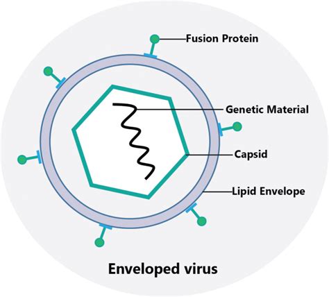 Resistance of Microorganisms against Disinfectants | TECOLAB