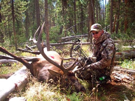 Archery Elk Hunting Outfitters in Montana