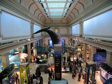 sant ocean hall | Smithsonian National Museum of Natural His… | misterspells | Flickr