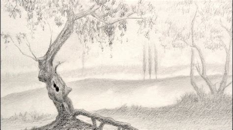 How to Draw a Tree - Landscape - YouTube