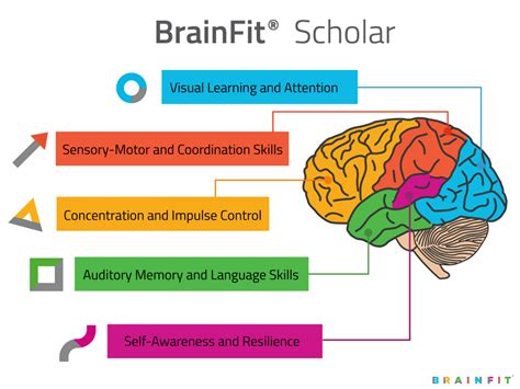 Brainfit Scholar Programmes - Whole Brain Training