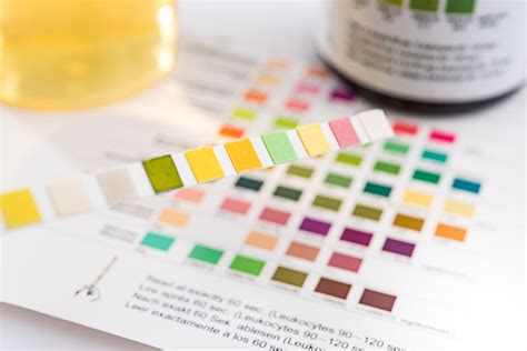 Understanding Drug Testing in Family Law: FAQs on Hair, Nail, and Urine ...