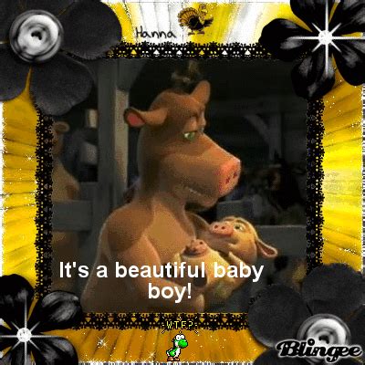 Barnyard Logic: If it has udders, it can be a dude! Picture #132413616 ...