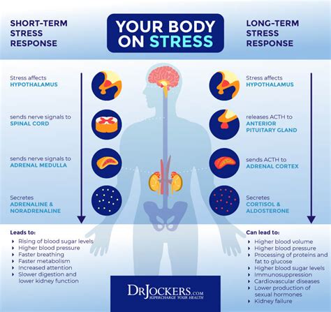 The 11 Most Common Keto Side Effects - DrJockers.com