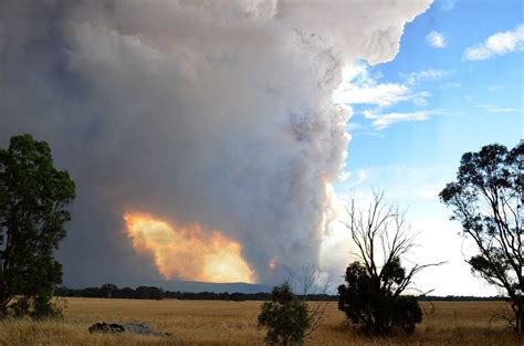 Twenty-seven homes lost in Grampians fire | The Senior | Senior