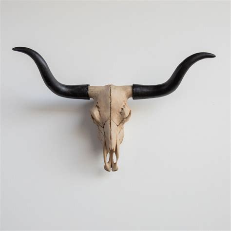 Millwood Pines Texas Longhorn Skull Wall Décor | Wayfair