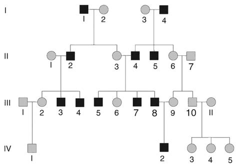 Y-linked inheritance