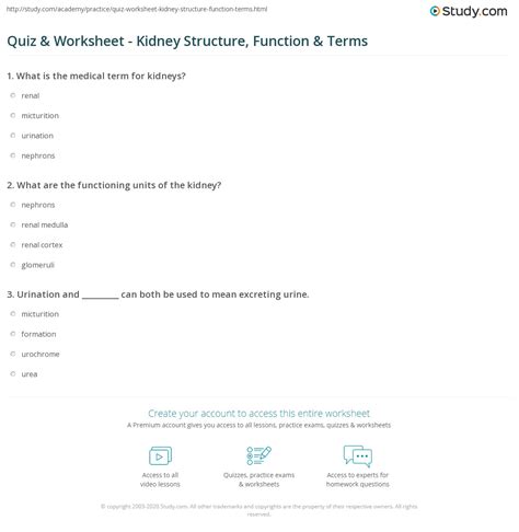 Kidney Structure And Function Worksheet