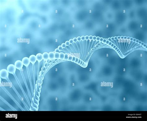 Dna Helix 3D Model