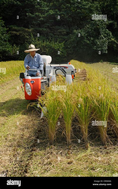 Machines harvesting rice field hi-res stock photography and images - Alamy