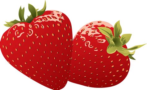 Strawberry PNG Image | Fruit vector, Strawberry png, Vector free