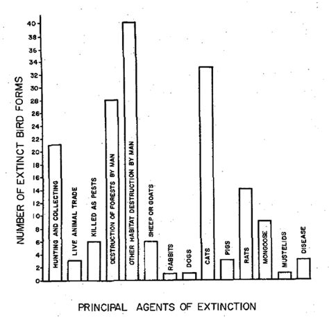 Impact to Ecosystems - Indian Mongoose