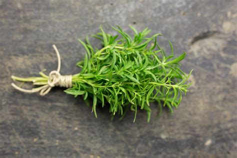 13 Fresh Herbs and How to Use Them | Epicurious