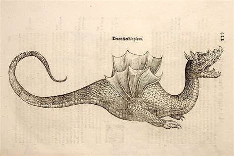 A Natural History of Dragons. Dragons began life as snakes, but… | by Pitchify Wrld | Medium