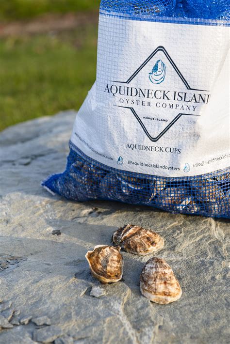 Aquidneck Cups – 100 – Aquidneck Island Oyster Company